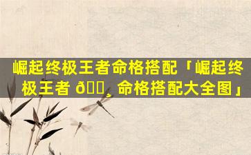 崛起终极王者命格搭配「崛起终极王者 🕸 命格搭配大全图」